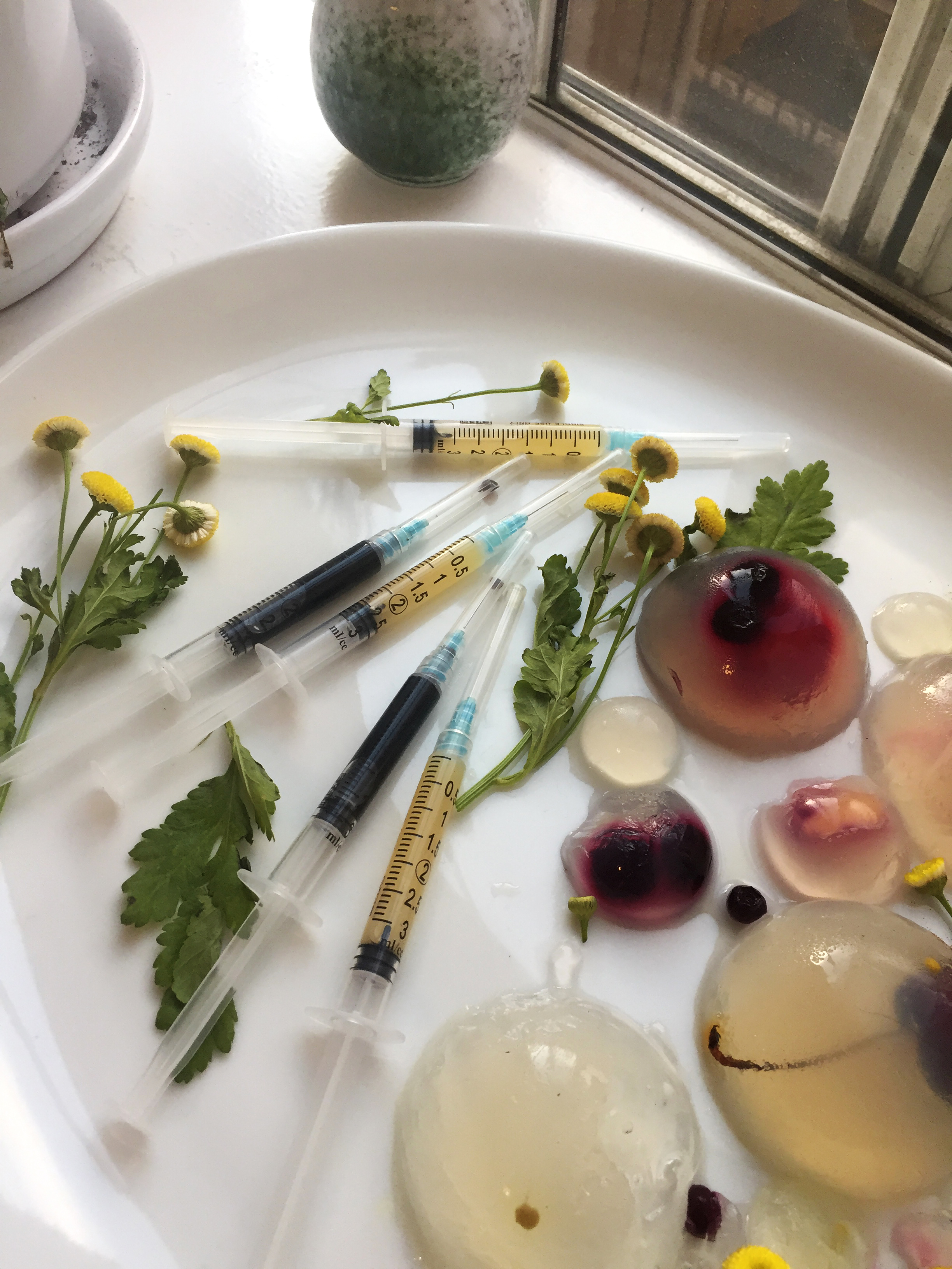 Detail of a plate of jello half-spheres and syringes on a windowsill